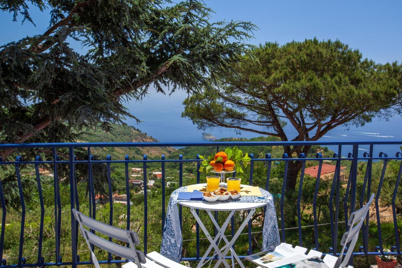 Villa Fedora Sea&Stars Massa Lubrense Exteriér fotografie